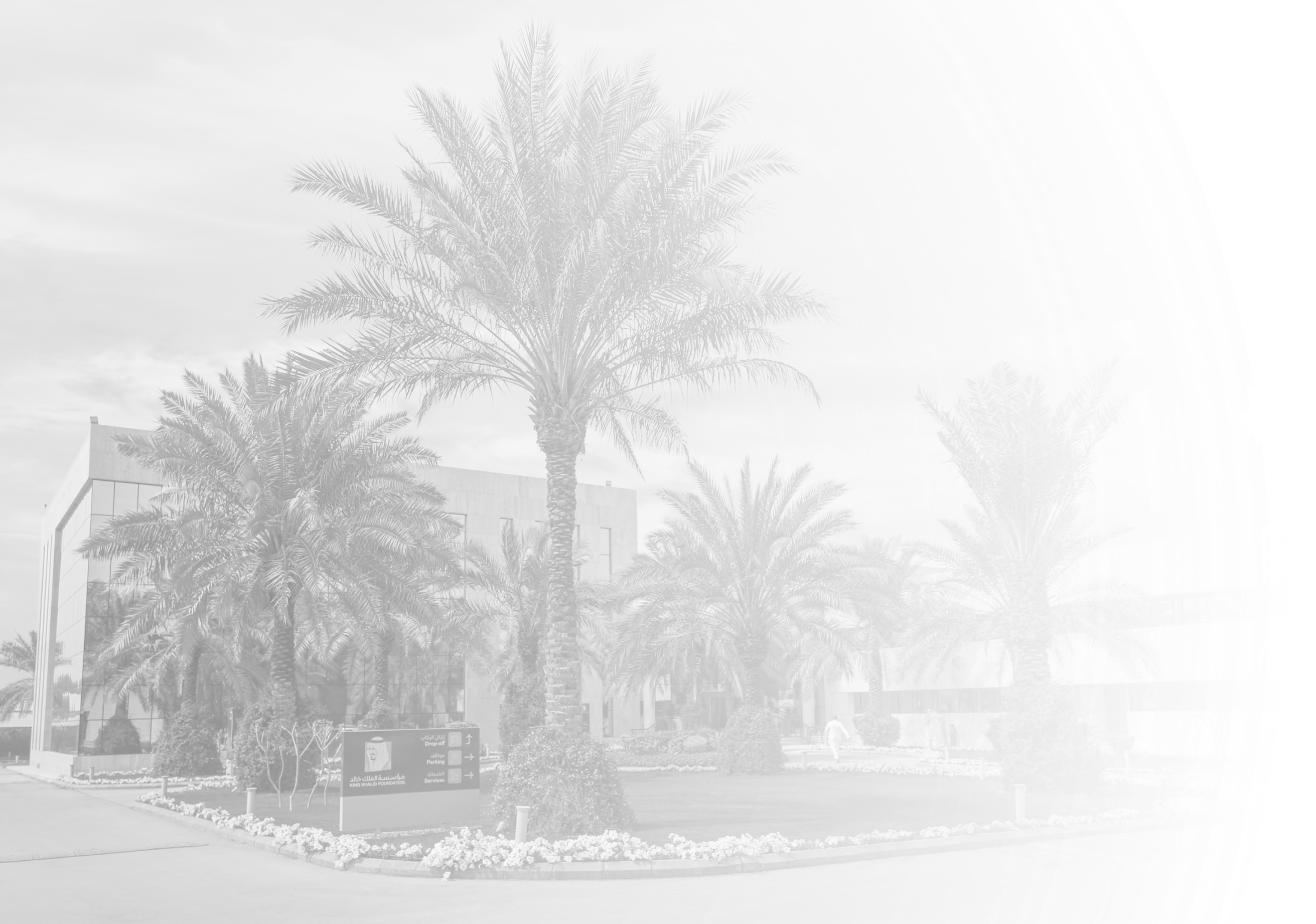 المسار البيئي